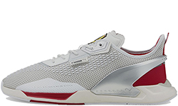 Puma Ferrari ION Speed серые с красным